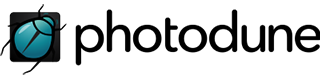 partner